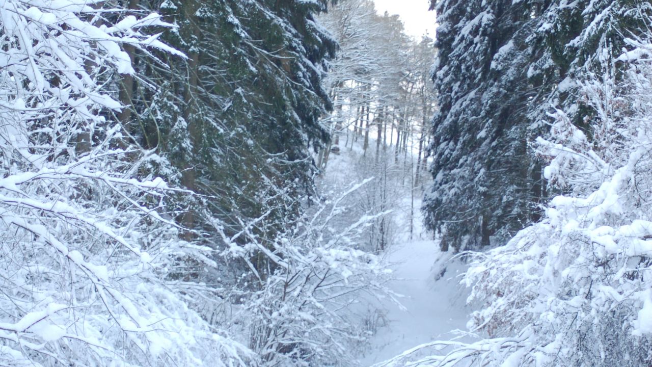 AreaWinter5KM AreaWinter5KM